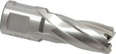 Hougen - 5/8" Diam x 1" Deep High Speed Steel Annular Cutter - Apex Tool & Supply