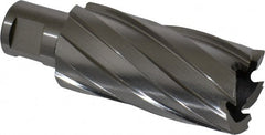 Hougen - 1-3/16" Diam x 2" Deep High Speed Steel Annular Cutter - Apex Tool & Supply