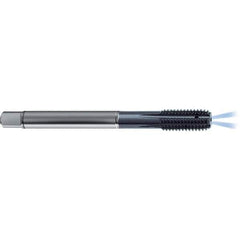 Guhring - 5/8-11 UNC 2BX H11/H12 Thread Limit Modified Bottoming Thread Forming Tap - High Speed Steel, TiCN Finish, 4.331" OAL, Right Hand Thread, Series 4379 - Apex Tool & Supply