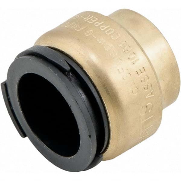 Watts - Metal Push-To-Connect Tube Fittings Type: End Stop Tube Outside Diameter (Inch): 0.75 - Apex Tool & Supply