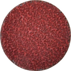 Norton - 2" Disc Diam, 36 Grit, Ceramic Alumina Quick Change Disc - Type R Attaching System, Coated, Red, Very Coarse Grade, 25,000 RPM, R983 Series - Apex Tool & Supply
