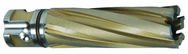 41MM X 50MM CARBIDE CUTTER - Apex Tool & Supply