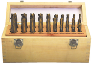 20 Pc. HSS Single-End End Mill Set - Apex Tool & Supply