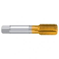 M10–6H REK.DR-S-OLN TiN Thread Forming Tap - Apex Tool & Supply