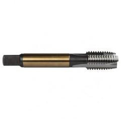 M10X1.5 3FL 6H CO SPPT PL TAP - Apex Tool & Supply