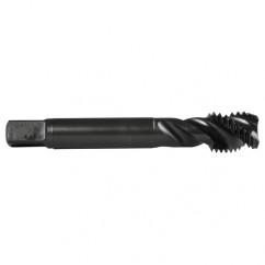 M10X1.0 3FL 6H CO SPFL S-BOTT-S/O - Apex Tool & Supply