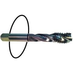 ‎8-32 Dia-H3-2 FL-Std Spiral Point Tap - Black Ring - Apex Tool & Supply