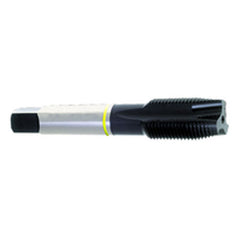‎M12 × 1.25 Dia-D5-3 FL-Std Spiral Point Tap-Yellow Ring - Apex Tool & Supply