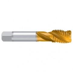 M16–6H ENORM-VA TiN Sprial Flute Tap - Apex Tool & Supply