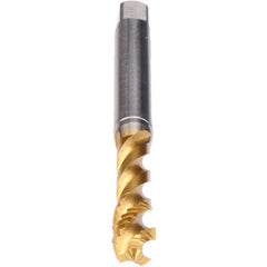 M4-TAP-ENORM ZSPEED-TIN60 - Exact Industrial Supply