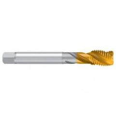 M16-ISO2/6H 2ENORM TiN Sprial Flute Tap - Apex Tool & Supply