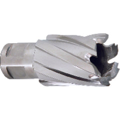 ‎5/8″ Dia-3/4″ Max Depth of Cut - M42 - Annual Cutter - Apex Tool & Supply