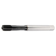 GT225004 M6X1 6HX FT SBOT 2174 - Exact Industrial Supply