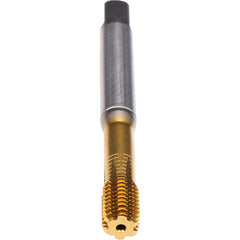 ‎1-24 ROLL TAP BTM COATED - Exact Industrial Supply