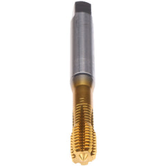 M3-INNOFORM-Z-SN-PM-TIN80 - Exact Industrial Supply