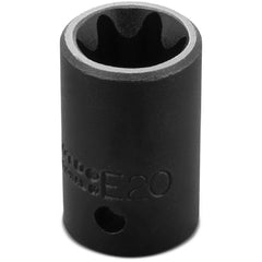 Proto 1/2″ Drive Torx Impact Socket - E20 - Apex Tool & Supply