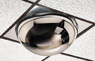 22" Dome- 2x4' 360° Drop-In Ceiling Mount - Safety Mirror - Apex Tool & Supply