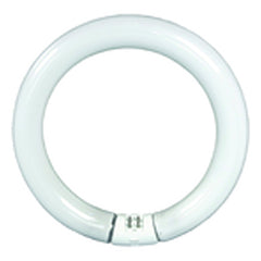 Replacement Bulb (22 Watt)- For Circline Mag/Cool-Combo - Apex Tool & Supply