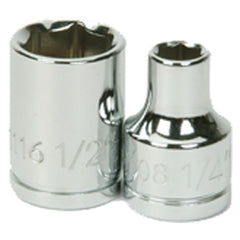 13/16″-1/2″ Drive-12 Point - Standard Socket - Apex Tool & Supply