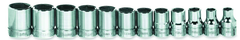 12 Piece - 3/8" Drive - Combination Kit - Apex Tool & Supply