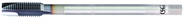 M22X1.0X200 D5 4FL SP PT TAP TICN - Apex Tool & Supply