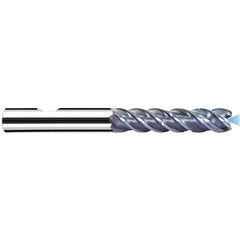 P8121391 MFC (MB-NVDS) 8M - Exact Industrial Supply