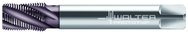 2556702-NPT1/4 PARADUR INOX - Apex Tool & Supply
