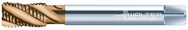 M2056305-M12 PARADUR XPERT M - Apex Tool & Supply