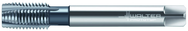 2026616-M12X1.75 6HX 4FL HS SPPT TAP - Apex Tool & Supply