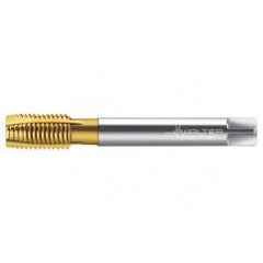 TC216-M12X1.75 6H WY80AA HS SPPT TAP - Apex Tool & Supply