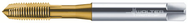 P2033005-M10 PROTOTEX XPERT P - Apex Tool & Supply