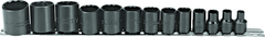 Proto® 3/8" Drive 13 Piece Black Oxide Socket Set - 12 Point - Apex Tool & Supply