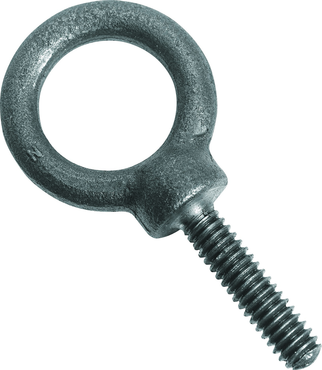 Protoå Forged Eye Bolt - 2.75" - Apex Tool & Supply