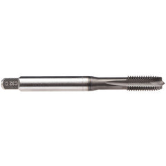 ‎STI 10-24-TAP-REKBVA-GLT1 - Exact Industrial Supply