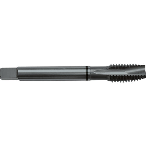 M4x0.7 D4 3 Flute Spiral Pointed Plug Black Ring Tap-Steam Oxide - Apex Tool & Supply
