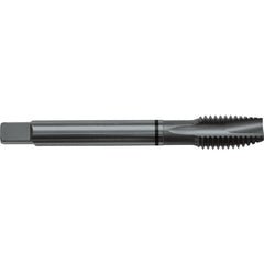‎3/8-24 H4 3 Flute Spiral Pointed Plug Black Ring Tap-Steam Oxide - Apex Tool & Supply