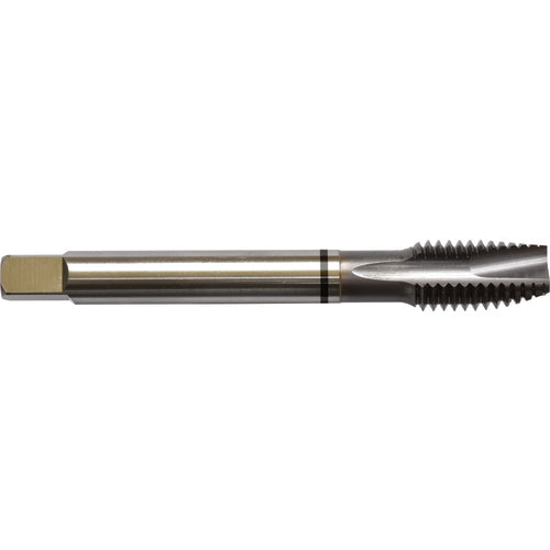 M4x0.7 D4 3 Flute Spiral Pointed Plug Black Ring Tap-TICN - Apex Tool & Supply