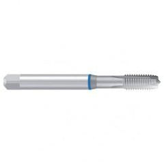 M2.5–7G REKORD 1B-VA Sprial Point Tap - Apex Tool & Supply