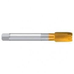 M20X1.5-ISO2/6H REK.2B TiN Sprial Point Tap - Apex Tool & Supply