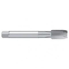 G 1/2 ISO 228 REK.2B Sprial Point Tap - Apex Tool & Supply