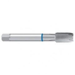 G 1/2 ISO 228 REK.2B-VA Sprial Point Tap - Apex Tool & Supply