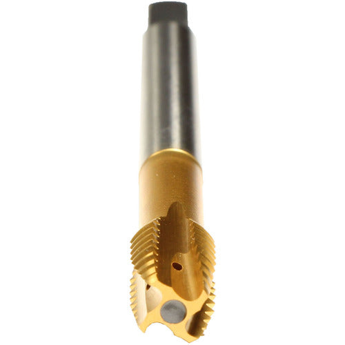 M16-TAP-REKORD B-Z-IKZN - Exact Industrial Supply