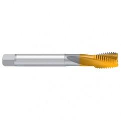 3/4–10 UNC–2BX REK.2D-Z-BF TiN Sprial Flute Tap - Apex Tool & Supply
