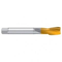 1/2–20 UNF–2BX REK.2D-Z TiN Sprial Flute Tap - Apex Tool & Supply