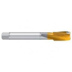 5/8–11 UNC–2B REK.2D TiN Sprial Flute Tap - Apex Tool & Supply