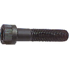M4-0.70 × 6 mm - Black Finish Heat Treated Alloy Steel - Cap Screws - Socket Head - Apex Tool & Supply