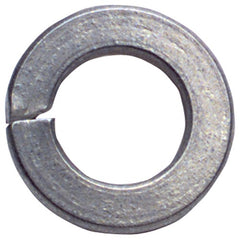 1/2″ Bolt Size - Zinc Plated Carbon Steel - Lock Washer - Apex Tool & Supply