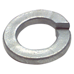 M10 Bolt Size - Zinc Plated Carbon Steel - Split Lock Washer - Apex Tool & Supply