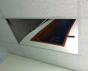 2' x 4' Mirror Ceiling Panel - Apex Tool & Supply