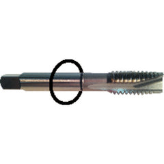 ‎4-40 Dia-H2-2 FL-Std Spiral Point Tap - Black Ring - Apex Tool & Supply